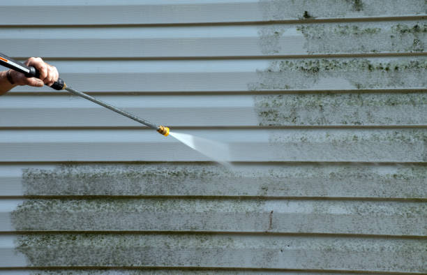 Best Local Pressure Washing Services  in Winthrop, IA