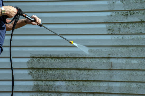 Best Sidewalk Pressure Washing  in Winthrop, IA