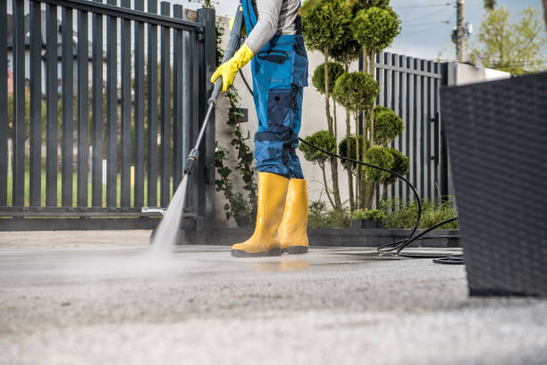 Best Deck Cleaning Services  in Winthrop, IA