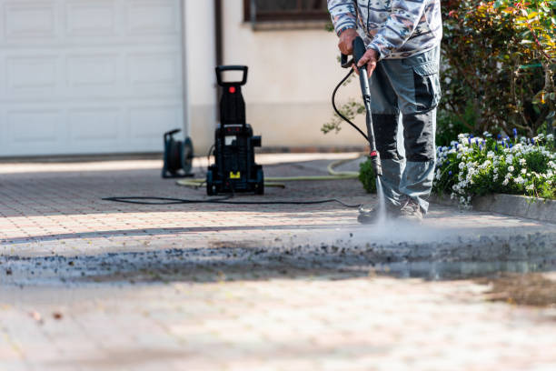 Best Roof Pressure Washing  in Winthrop, IA