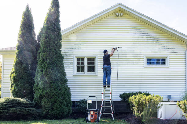 Best Affordable Pressure Washing  in Winthrop, IA