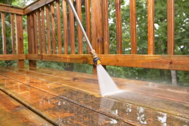 Best Roof Pressure Washing  in Winthrop, IA