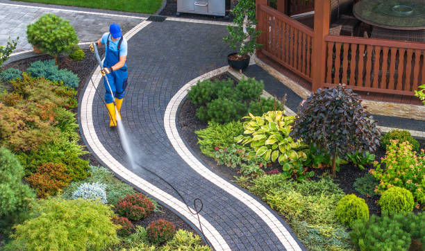 Best Pressure Washing Company Near Me  in Winthrop, IA